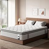 SLEEP100 Queen Mattress 12 Inch, 5-Zone Deep Sleep Firm Mattress with Extra Lumbar & Shoulder Support, Hotel Collection Hybrid Mattresses Pain Relief - Fiberglass Free - No Odor - 365 Night Trial