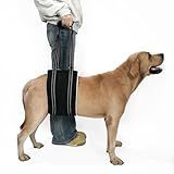COODEO Adjustable Comfortable Dog Sling with Handle Hind Leg Support Soft Lift Support and Rehab Harness for Weak Rear Legs,Helps Senior, Injured, Disabled and After ACL Surgery Dogs Large (Black, L)