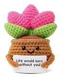 WEZADUK Positive Emotional Support Crochet Plants, Funny Succulent Gifts