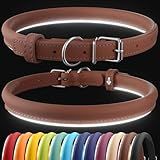 CollarDirect Reflective Rolled Leather Dog Collar, Soft Padded Round Puppy Collar, Handmade Genuine Leather Collar Dog Small Large Cat Collars 13 Colors (8-11 Inch, Cinnamon Smooth)
