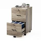 VINGLI 2 Drawer File Cabinet with Lock, Wood Rustic Gray Filing Cabinet for Letter Size File Folders with Tabs, Under Desk Rolling File Cabinets for Home Office, Mobile File Organization Printer Stand