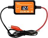 400AH Lead-Acid Battery Desulfator Battery Maintainer Auto-Setting for 12V-48V Auto Pulse Battery Revive Battery Regenerator