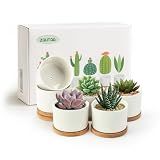 ZOUTOG 6 Pack 3.1" Ceramic Succulent Pots,White Planter with Drainage Tray