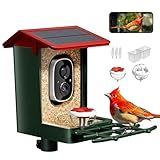 Smart Bird Feeder with Camera Solar Powered, 1080P HD Video, 10,000+ Species AI Recognition, Real-Time App Alerts, Weatherproof Design for Effortless Birdwatching, Gift for Bird Lovers, Red-Green