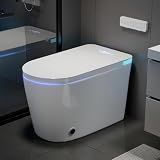 TOTTE Smart Toilet with Bidet Built-in, Auto Open/Close Lid, Auto Power 1000g MaP Flush, 1.28 GPF, One Piece Elongated Toilet with Instant Warm Water & Warm Air Dryer, Built-in Aroma