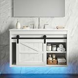 DWVO 24" LED Bathroom Vanity with Sink