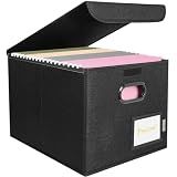 BALEINE File Organizer Box with Lid, Collapsible Hanging File Storage Box
