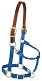 Weaver Leather Nylon Adjustable Breakaway Horse Halter, Average, Blue