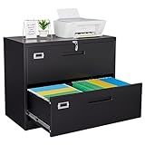 Letaya Metal Lateral File Cabinets with Lock,2 Drawer Steel Wide Filing Organization Storage Cabinets,Home Office Furniture for Hanging Files Letter/Legal/F4/A4 Size (Blcak-2 Drawer)
