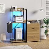 IDEALHOUSE 2 Drawer File Cabinet, Filing Cabinet Fits Letter Legal, a4 Size, File Cabinets for Home Office with Power Strip, LED Lights and Open Shelf, Printer Cabinet with Shredder Storage