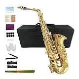 Yinfente Eb Alto Saxophone For Beginners Adult,Saxophone Student,E Flat Alto Sax Full Kit With Reeds,Pads Cushions,Hard Carrying Case,Cleaning Cloth & Rod,Mouthpiece,Gloves,Neck Strap Gold