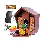 Birdster Smart Bird Feeder with Camera Solar Powered AI Identification 10,000+ Bird 2K UHD Video Live Instant Arrival Alerts and Real-Time Motion Detection Weatherproof Bamboo for Outdoor Birds Lovers