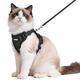rabbitgoo Cat Harness and Leash for Walking, Escape Proof Soft Adjustable Vest Harnesses for Cats, Easy Control Breathable Reflective Strips Jacket, Black, M