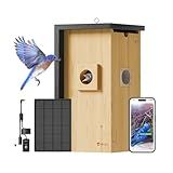 Birdfy Bird House with Camera Solar Powered with Iron Guard for Outside, AI Identify, 1080P HD & Night Vision for Bluebird Finch Swallow Wren Chickadee Nesting Watching, Auto Detect & Notify