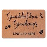PLUJOYS Christmas Grandma Nana Gifts,Gifts for Grandparents Grandpa, Nana Papa Gifts,Grandma Birthday Gifts,Gigi Mimi Grandma Gifts from Granddaughter Grandchildren Grandson Grankids