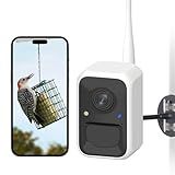 NETVUE by Birdfy Smart Bird Feeder Camera, Adjustable Brackets, Auto Bird Video Capture, Instant Notifications, AI Identify 6000+ Species
