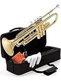 Mendini By Cecilio Bb Standard Trumpet Set for Beginners - Brass Student Trumpet Instrument with Hard Case, 7C Mouthpiece, Valve Oil, Cleaning Cloth, Gloves (Golden)