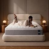 Queen Mattress, 12 Inch Hybrid Mattress with Memory Foam , Medium Firm,