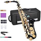 EASTROCK E Flat Alto Saxophone Black/Golden Sax for Beginners and Students
