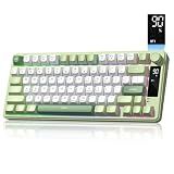 Womier DK75 75% Wireless Gaming Keyboard, Creamy Computer Keyboards, Green