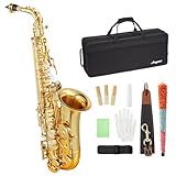 Professional Eb Alto Saxophone Beginner Kit: Complete Student Set with Hard Case, Mouthpiece, Cleaning Kit (Rod/Cloth/Gloves), Ready for Band Class & Practice