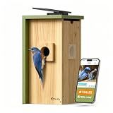 Birdfy Bird House with Camera Solar Powered with Metal Cladding for Outside