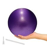 ElwynnLane 9 Inch Exercise Pilates Ball Mini Exercise Barre Ball for Yoga,Stability Exercise Training Gym Anti Burst and Slip Resistant Balls Physical Therapy Improves Balance
