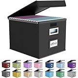 Huolewa File Organizer Box with Lid, Collapsible File Folder Organizer for Office Document Storage, Filing Box with Plastic Slide for Letter Size Hanging File Folders(1 Pack, Black)