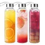 Duocesica 3 Packs Glass Water Bottles with Lid Clear Juice Bottles Reusable Bottle with Stainless Steel Cap Glass Cups Liquid Storage Containers for Juicing Beverage Refrigerator Travel-17oz