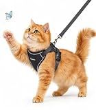 Cat Harness and Leash for Walking, Escape Proof Adjustable Vest Harness