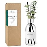 Clesh Reed Diffuser Set, 6.7 oz Eucalyptus Scented Diffuser with Sticks, Home Fragrance Reed Diffuser for Bathroom Shelf Decor