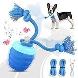 HVUATQ Interactive Dog Toys - 2025 Upgraded Motion Activated Balls for Medium/Large Dogs, Automatic Moving Dogs Toy Wicked Ball for Boredom, Interactive Dog Ball to Keep Them Busy(Blue)