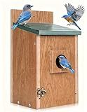 Gtongoko Recycled Plastic Bird Houses for Outside Clearance 1-1/2" Entrance Hole Blue Birdhouses for Outdoors with Air Vents Green & Brown Nesting Box for Bluebird Swallows Finches Chickadee 1 Pack