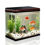 5 Gallon Fish Tank, Glass Aquarium Starter Kits, Self-Cleaning Water Pump & 3-Color Light with Water Temperature Detection for Betta Shrimp Guppy Jellyfish Goldfish Beta, Gift for Room Decor Kid