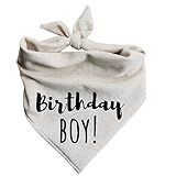 Dog Bandana Birthday Boy Barkday Pawty Attire Oatmeal Beige Boho Simple (Large)