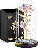 Otlonpe Glass Rose Flower, Womens Gifts for Christmas Valentines Day Mothers Day Teacher Appreciation Graduation, Birthday Gifts for Women Mom Wife Girlfriend Grandma Sister Teacher Friend (Colorful)