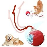 SilveWillo Interactive Electric Automatic Rolling Moving USB Rechargeable Self Activated Play Stimulation Toy Smart Chase Teaser Ball with Speedy Tail Rope for Bored Adult Indoor Cats and Dogs, Red