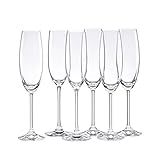 Lenox Champagne Flutes, Tuscany Classics 8 Oz Champagne Glasses Set of 6, 1.5 x 10-inch, Clear European Glass, Stemware, Dishwasher Safe, Wedding Decor, New Years, 8 Oz Flute Glasses (6-Piece)