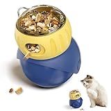 WRSION Cat Puzzle Feeder - Interactive Cat Toy & Dog Toys, Treat Dispenser for Indoor Cats, Small Dogs, Puppies | Slow Feeder to Keep Busy