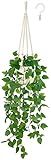 Mkono Fake Hanging Plant with Pot, Artificial Plants for Home Decor Indoor Macrame Plant Hanger with Fake Vines Greenery for Bedroom Bathroom Kitchen Office Decor, Ivory (Pothos)