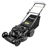 PowerSmart 22-Inch Self Propelled Gas Lawn Mower, 170cc 4-Cycle OHV Engine, 3-in-1 Mulch/Bag/Rear Discharge, 6 Cutting Heights