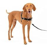 PetSafe Easy Walk Harness for Dogs - Pull-Free Walks - Patented Martingale Loop Design - Front Chest Leash Attachment - Comfort Straps - Breathable Harness Design - Medium, Black/Silver
