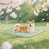 UIQELYS Cooling Pad for Dog Ice Green, 48" x 28" No Gel, Cool Fabric Top & Velvet Back Pets Blanket, Washable, Cooling Dog Mat Available in 3 Sizes, Summer Relief for Dogs & Cats-B Size