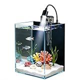 Betta Fish Tank kit,Small Nano Glass Fish Tank Start Kit with Filter,LED Light for Shrimp,Small Fish,Betta (1.5 Gallon)