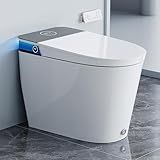 HOROW Artistic Bidet Toilet, Smart Toilet with ADA Chair Height, MAP 1000g Powerful Flush, Auto Open/Close Lid, Instant Warm Water, Elongated Heated Seat, Deodorization