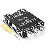 Wuzhi Audio ZK-1002T Bluetooth Amplifier Board 100W+100W Audio Amplifier Supports AUX/Bluetooth,Wide Voltage Input 12-24V