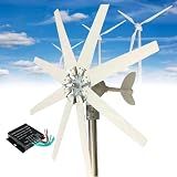 20000W Wind Turbine Generator Kit 12V 24V 48V 110V 220V for Charging Marine Garden Lamps 8 Blades with MPPT Controller for Terrace Marine Motor Home Boat(220V)
