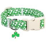 St Patricks Day Dog Collar Shamrock Irish Clover Pet Collar Handmade Pet Collar Cute Puppy Collar Adjustable Pet Dog Collars for Small Medium Large M