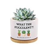 Loovelo What the Fucculent Succulent Lover Gardener Plant Lover Gifts Ceramic Succulent Plant Pot with Bamboo Tray Round Home Office Decor 3.5 Inch White (No Plants)