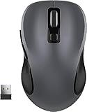 WisFox 2.4G Wireless Mouse for Laptop, Ergonomic Computer Mouse with USB Receiver and Type-C Adapter, 3 Adjustable Levels DPI, 6 Button Cordless Wireless Mice (Grey, 1 Pack)